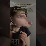 Что Что Давай Говори Что