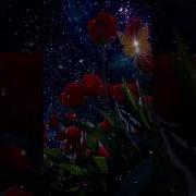 Кутман Кеч