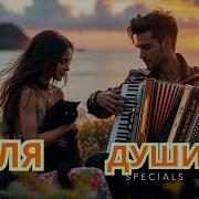 Ведьмин Кот Взволнован Очень Клипы Для Души