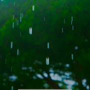 Summer Rain Rain Sounds Nature Sounds