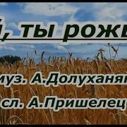 Ой Ты Рожь Караоке