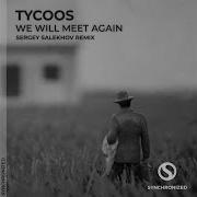 Tycoos We Will Meet Again Sergey Salekhov Remix