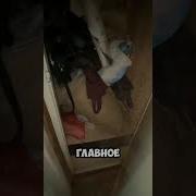 Приколы Про Уборку