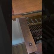 Инструментальная 19 Век