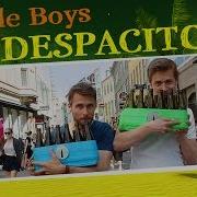 Despacito Bottle Boys