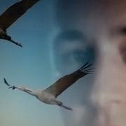 Осталось Несколько Шагов Часов Минут