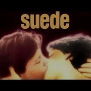 Suede She S Not Dead