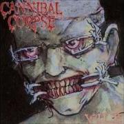 Cannibal Corpse Vile Full Album