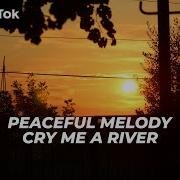 Peaceful Melody Soave Lofi Cry Me A River