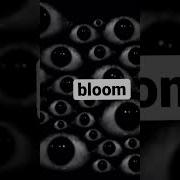 Bloom Dreamcore