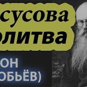 Как Молиться Молитва Иисусова Оружие Как Можно Чаще Никон Воробьев