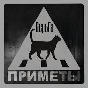 Мы Забьем На Войну Серьга