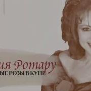 Чайные Розы В Купе Ротару