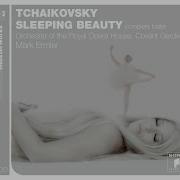 The Sleeping Beauty Op 66 No 4F Variation Iv Canari Qui Chante