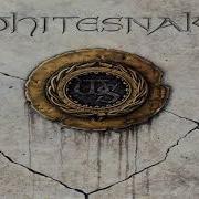 Whitesnake Still Of The Night Backing Track