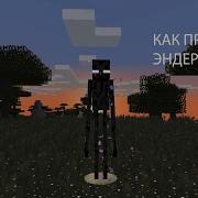 Как Приручить Эндермена