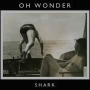 Oh Wonder Shark