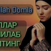 Масала Ердан Чикан Айолар Хакида