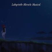 Mirasle Musical Ladyrinth Speed Up