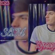 Муник Мс Дарди Дил Ремих
