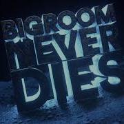 Bigroom Never Dies