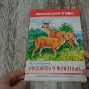 Пришвин Сказки О Животных