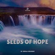 Taoufik Seeds Of Hope