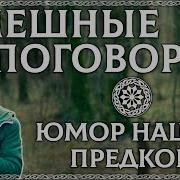 Смешные Поговорки