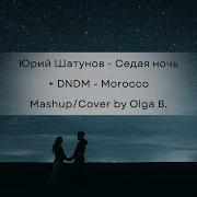 Оля Гвоздовская Седая Ночь