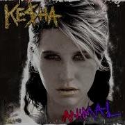 Kesha Take It Off Минус