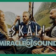 Skal Miracle Of Sound