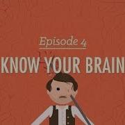 Mind Brain