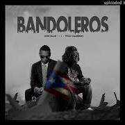 Don Omar Bandoleros Acapella