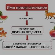 Имя Прилагательное Как Часть Речи 2 Класс