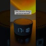 Алиса Мотириться