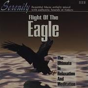 Flight Of The Eagles Marla