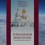 Амвросий Тимрот Псалтырь На Русском И Молитвы