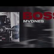 Boss Mvdnes