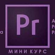 Портреты Ускорения Версич