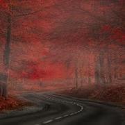 Chris Rea Freeway
