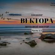 Звуковой Вектор