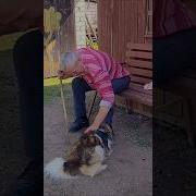 Деревенскте Песни