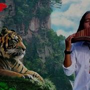 Leo Rojas Raimy Salzar Pan Flute Music For 2022 63 Min