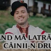 Alexandru Bradatan Cand Ma Latra Cainii N Drum