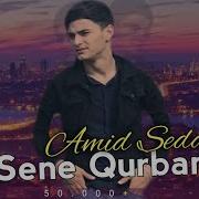 Amid Seda Yagmur Elizade Ay Sene Qurban