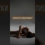 Звуки Влагалища