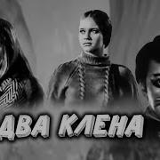 Шварц Два Клена