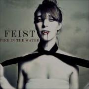 Fire In The Water Feist