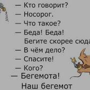 Диалог Coba1569