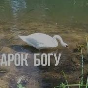 Подарок Богу Стих Притча